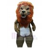 Lion mascot costume