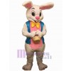 Easter Bunny Rabbit mascot costume