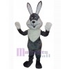 Easter Bunny Rabbit mascot costume