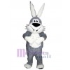 Easter Bunny Rabbit mascot costume