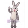Easter Bunny Rabbit mascot costume