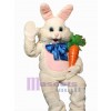 Easter Bunny Rabbit mascot costume
