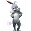 Easter Bunny Rabbit mascot costume