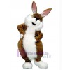 Easter Bunny Rabbit mascot costume