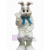 Easter Bunny Rabbit mascot costume