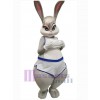 Easter Bunny Rabbit mascot costume