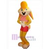 Easter Bunny Rabbit mascot costume