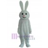 Easter Bunny Rabbit mascot costume