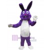 Easter Bunny Rabbit mascot costume