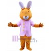 Easter Bunny Rabbit mascot costume