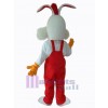 Easter Bunny Rabbit mascot costume