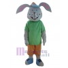 Easter Bunny Rabbit mascot costume
