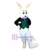 Easter Bunny Rabbit mascot costume