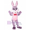 Easter Bunny Rabbit mascot costume