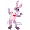 Easter Bunny Rabbit mascot costume