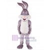 Easter Bunny Rabbit mascot costume