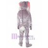 Easter Bunny Rabbit mascot costume