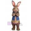 Easter Bunny Rabbit mascot costume