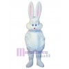 Easter Bunny Rabbit mascot costume