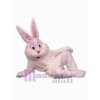 Easter Bunny Rabbit mascot costume