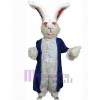 Easter Bunny Rabbit mascot costume