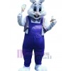Easter Bunny Rabbit mascot costume