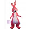 Easter Bunny Rabbit mascot costume