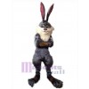 Easter Bunny Rabbit mascot costume