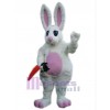 Easter Bunny Rabbit mascot costume