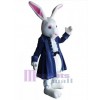 Easter Bunny Rabbit mascot costume