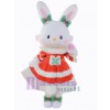 Easter Bunny Rabbit mascot costume