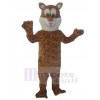 Cheetah mascot costume