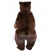 Bear mascot costume