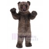 Bear mascot costume