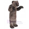 Bear mascot costume