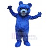 Bear mascot costume