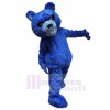 Bear mascot costume