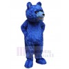 Bear mascot costume