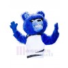 Bear mascot costume