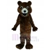 Bear mascot costume