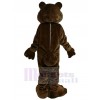 Bear mascot costume