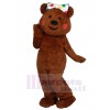Bear mascot costume