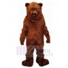 Bear mascot costume