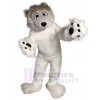 Bear mascot costume