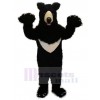 Bear mascot costume