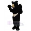 Bear mascot costume