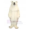 Bear mascot costume