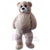 Bear mascot costume