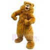 Bear mascot costume