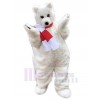 Bear mascot costume